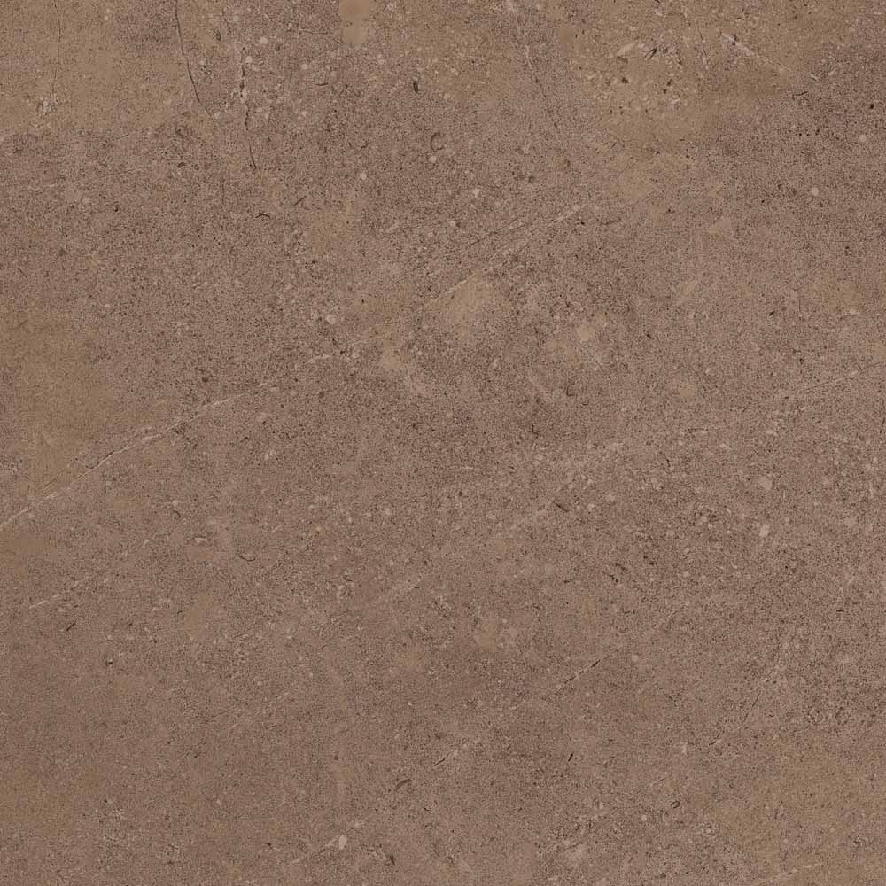 GO02/NS_R9/60x60x10R/GW На пол Gobi GO02 Dark Beige неполированный 60x60