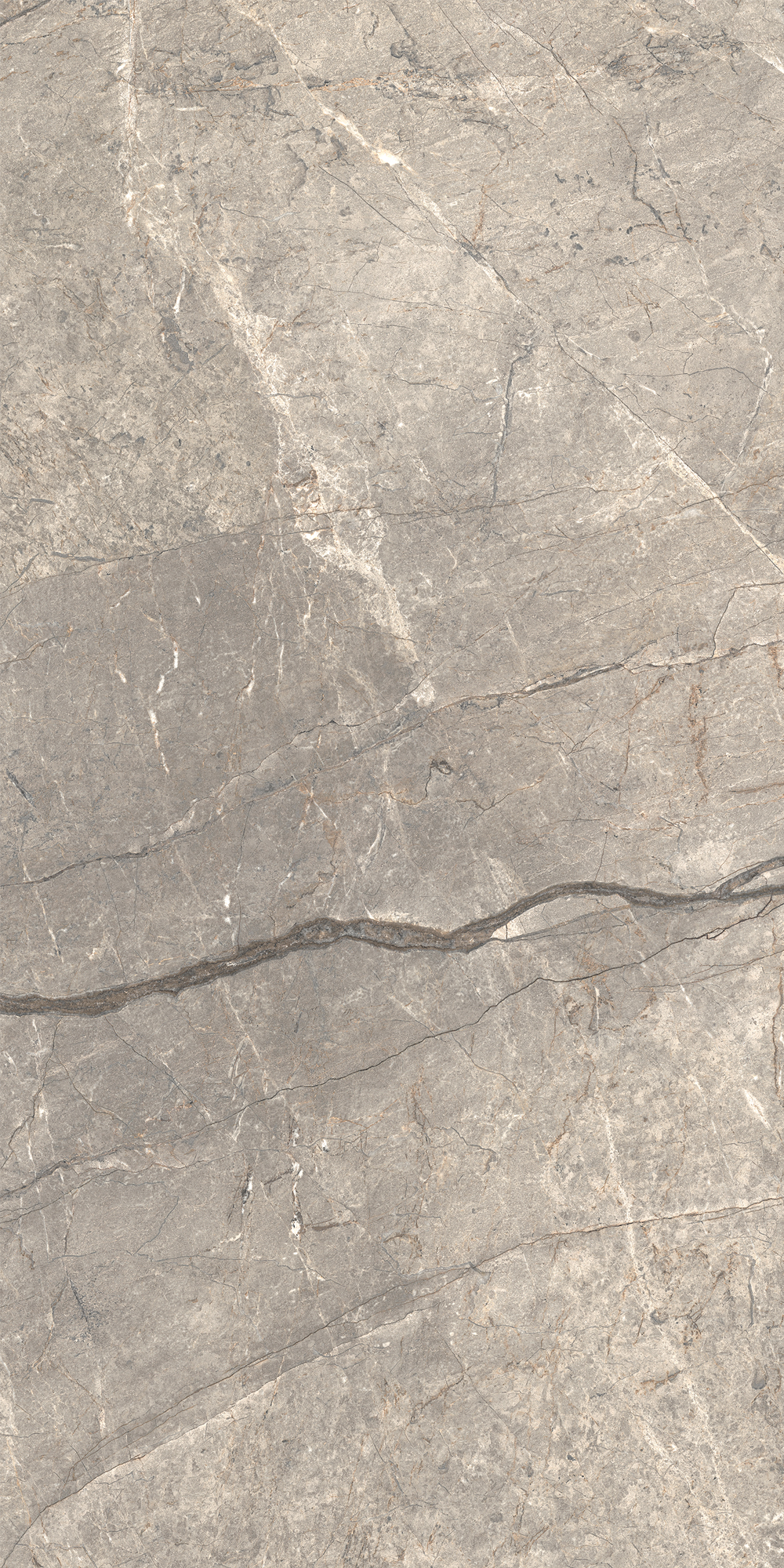 AIAV На пол Anima Futura Amazing Silver Liscio Matt 60x120