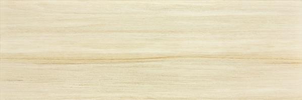 WADVE034 На стену Charme Beige 60х20