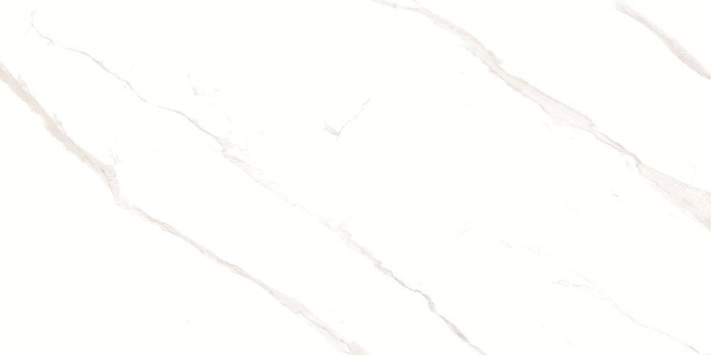 RP-238582  Pushkar White Matt 60x120 - фото 8