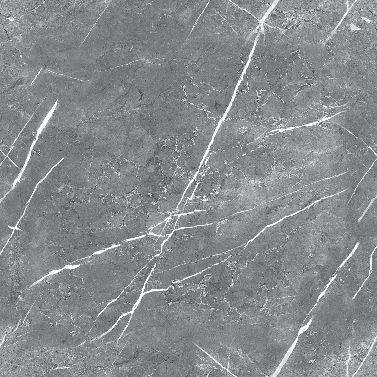 R_PR1019 На пол Carnico Grey Polished 60x60 - фото 2