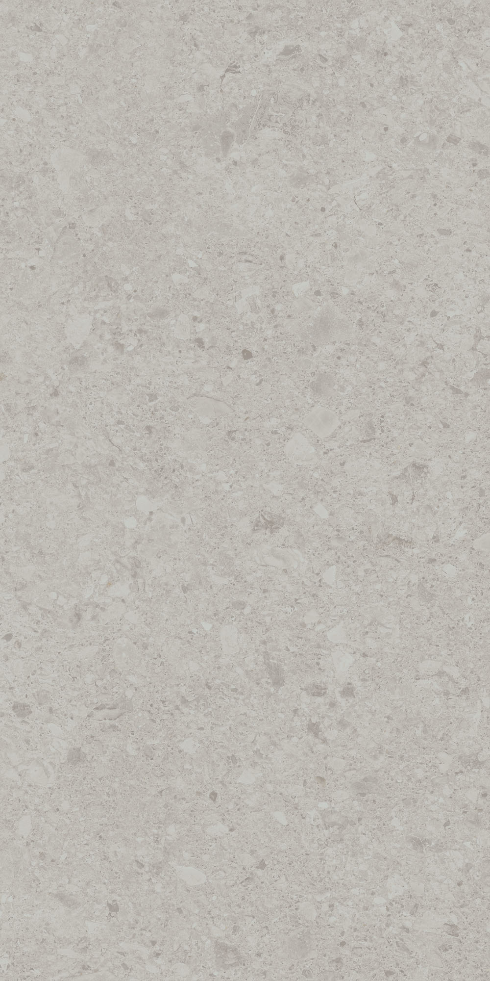 DD507620R На пол Чеппо ди Гре Серый светлый матовый обрезной 60x119.5x0.9 - фото 8