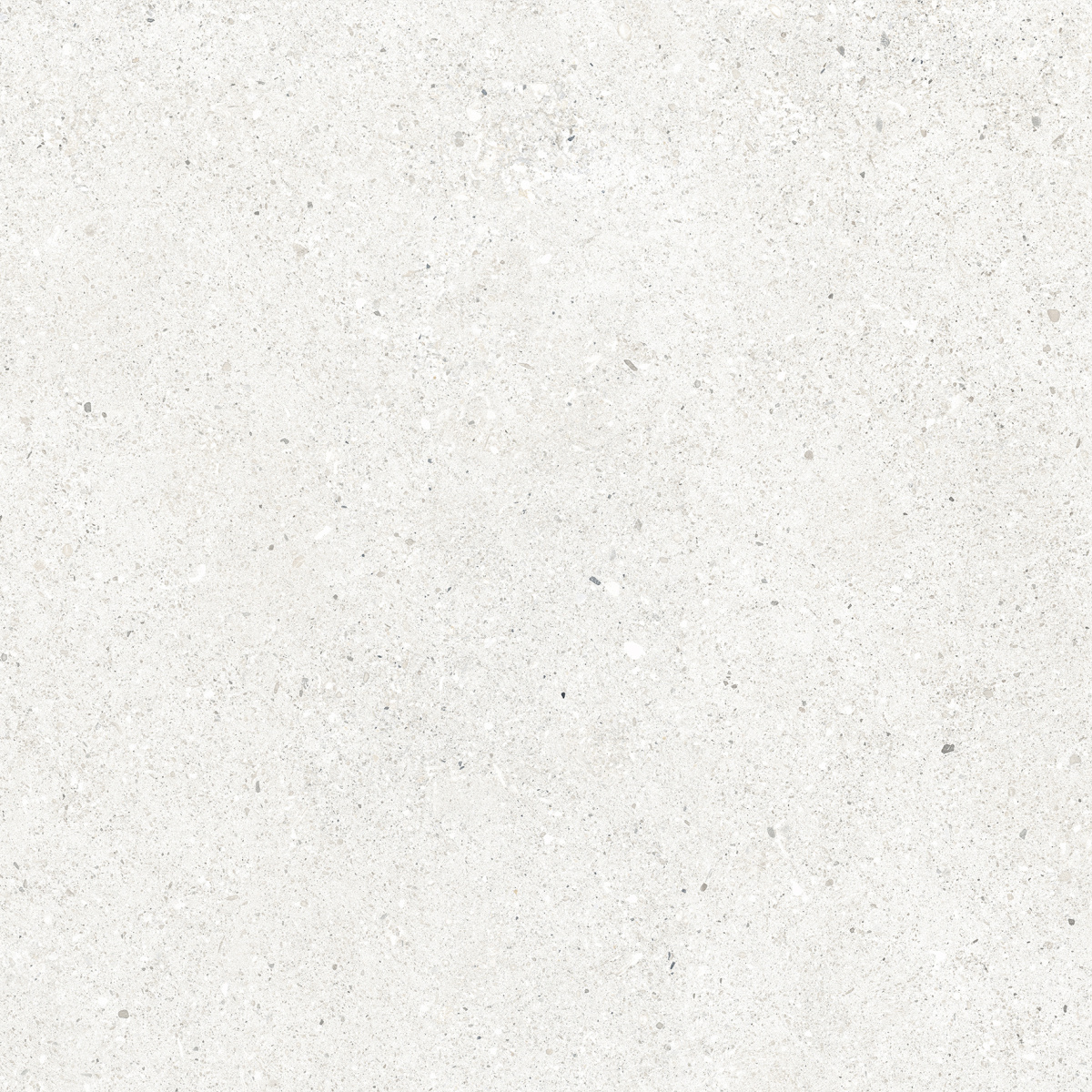 CR6060G0471R На пол Perla Bianco светло-серый матовый 59.5х59.5 - фото 10