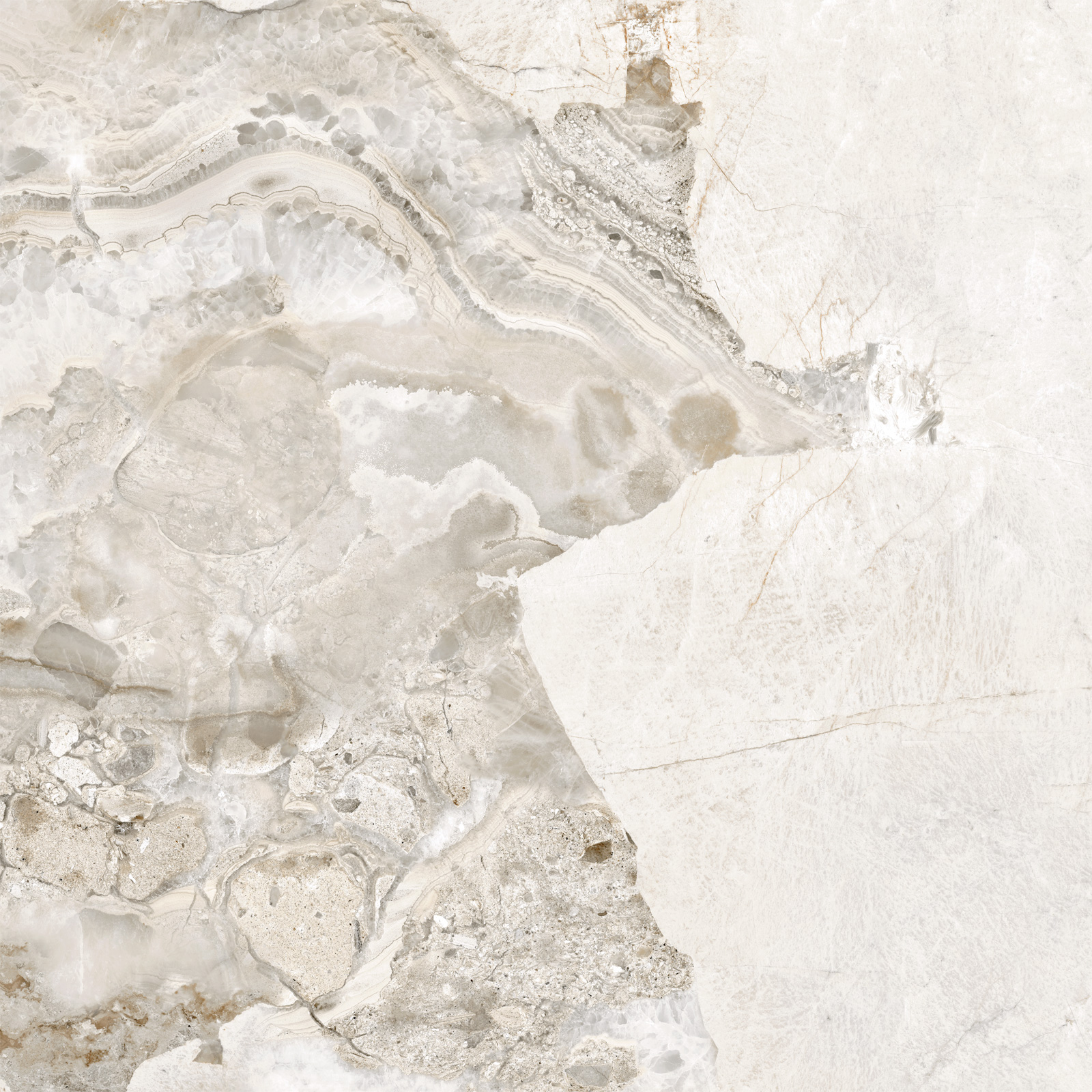 D60256М На пол Seashell Матовый 600x600x9.5 - фото 2