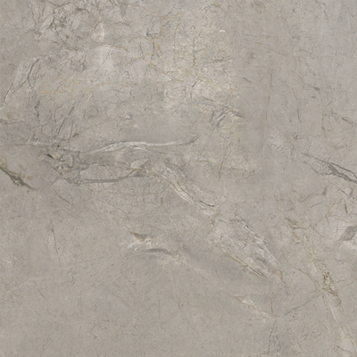 2A52 На пол Elements Lux Silver Grey Lappato RT 120x120