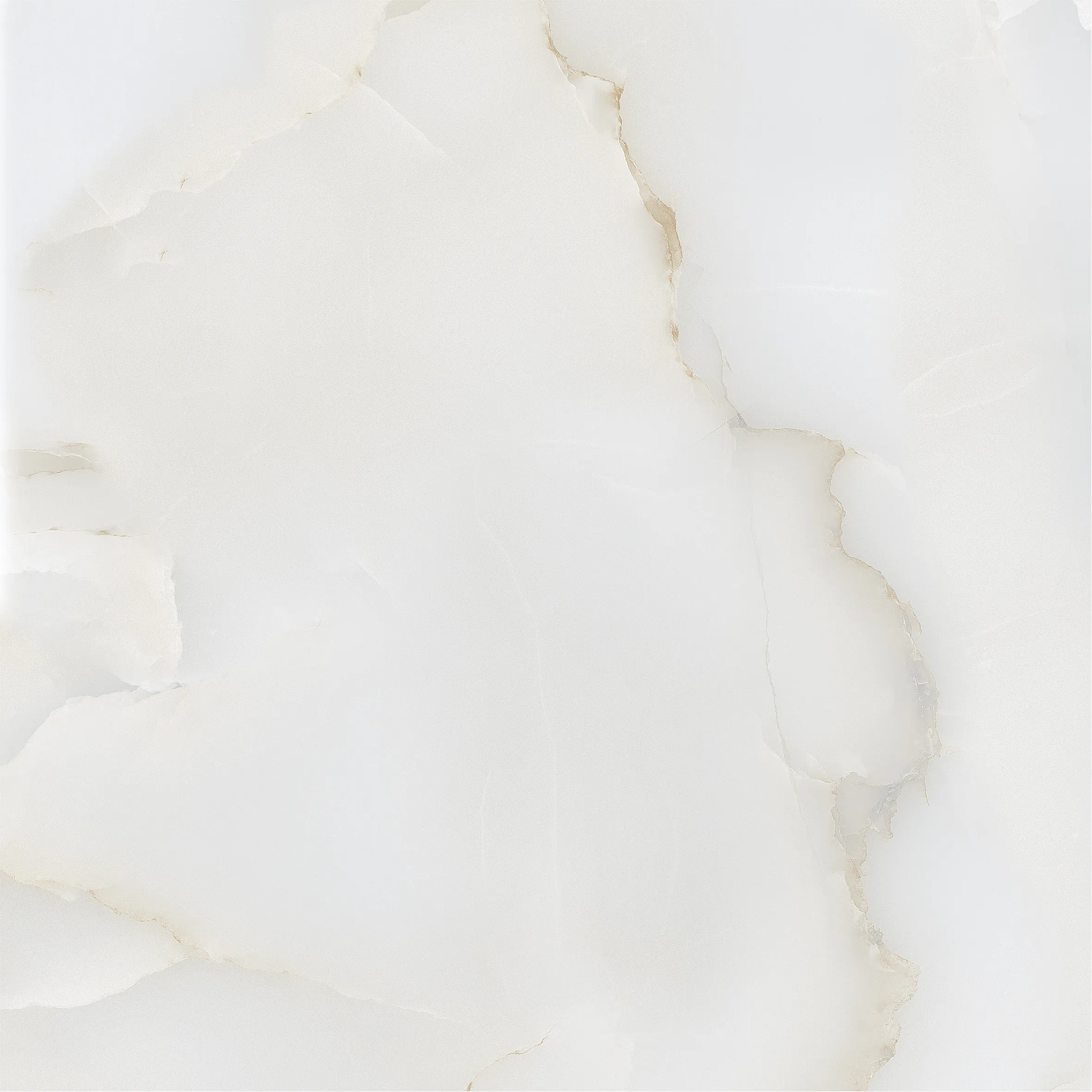 410202 На пол  Elara Glossy 60x60 - фото 8