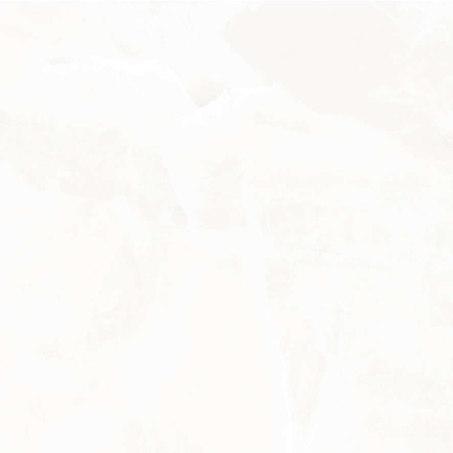 На пол Onyx Hope Светло-серый Полированный 60х60 - фото 4