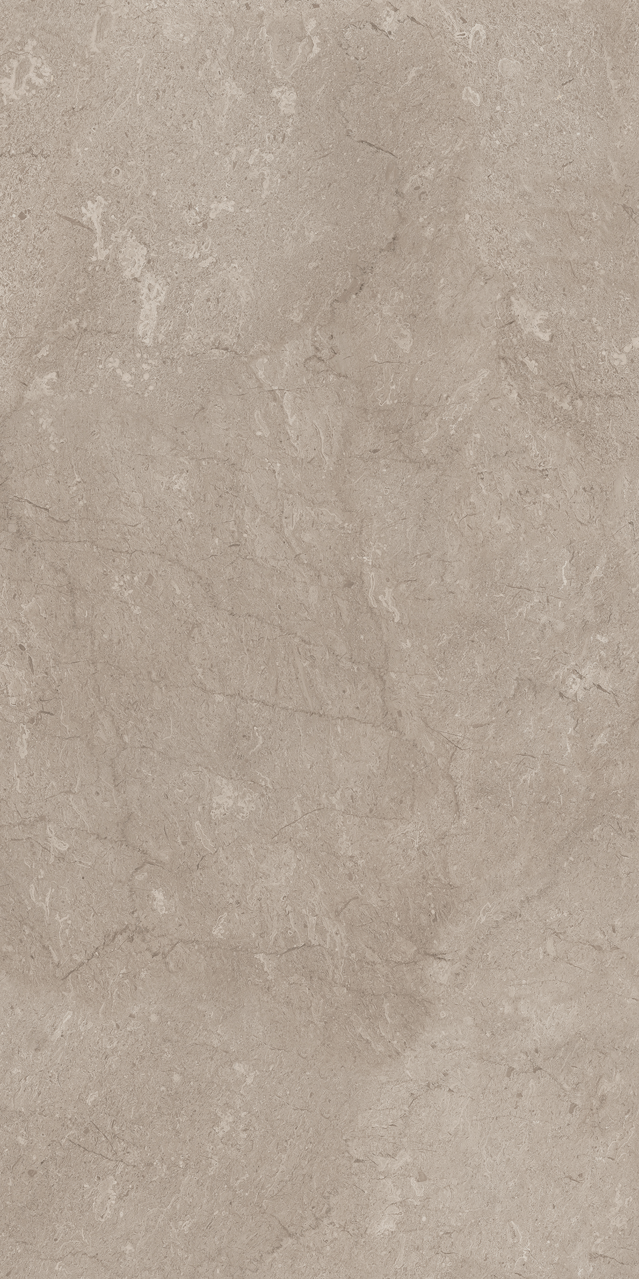 AEM02/NS_R9/80x160x10R/GW На пол Элемента AEM02 Серый Неполированный Рект 80x160x10 - фото 8