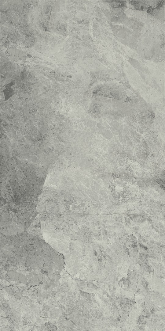 610015000370 На пол Charme Extra Floor Project Силвер 60x120 Люкс и Реттифицированный - фото 3