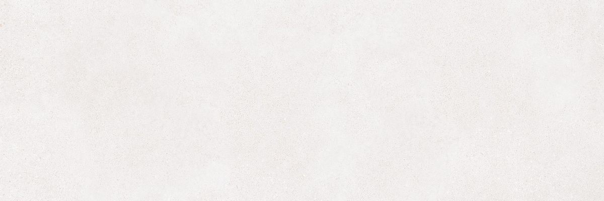 WAKV6790 На стену Betonico White-grey 40x120