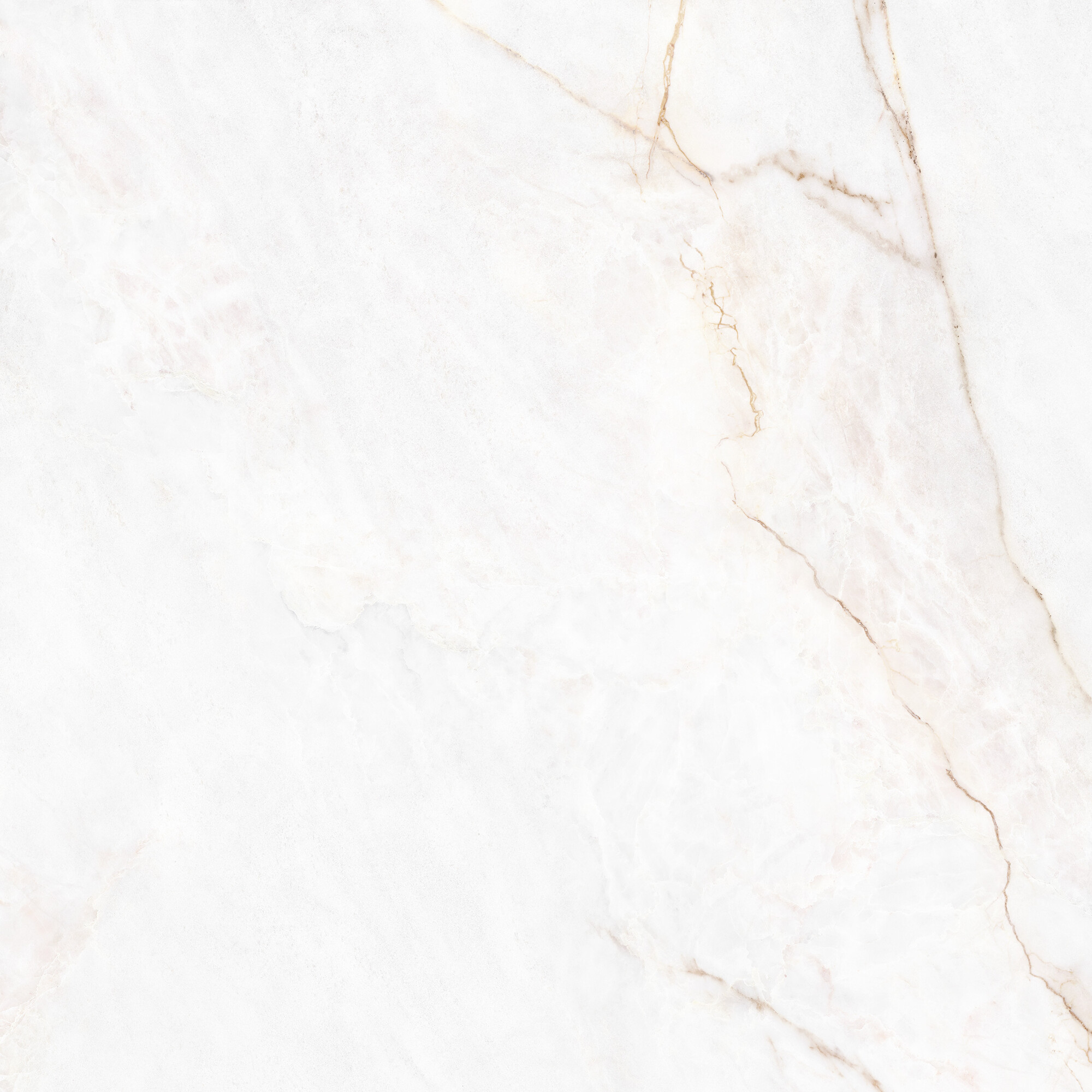 41431 На пол Museum Dahlia White SP/100X100X0.8/R 100x100 - фото 2