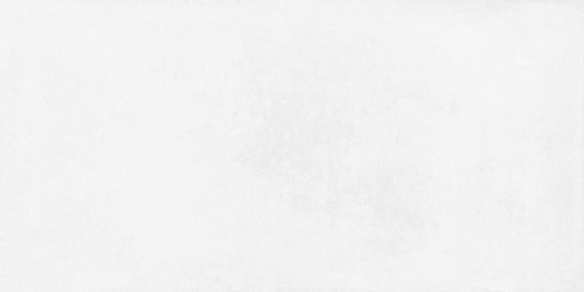 На пол Betonica Blanco PRO Светло-серый матовый R11Soft 60х120 - фото 5