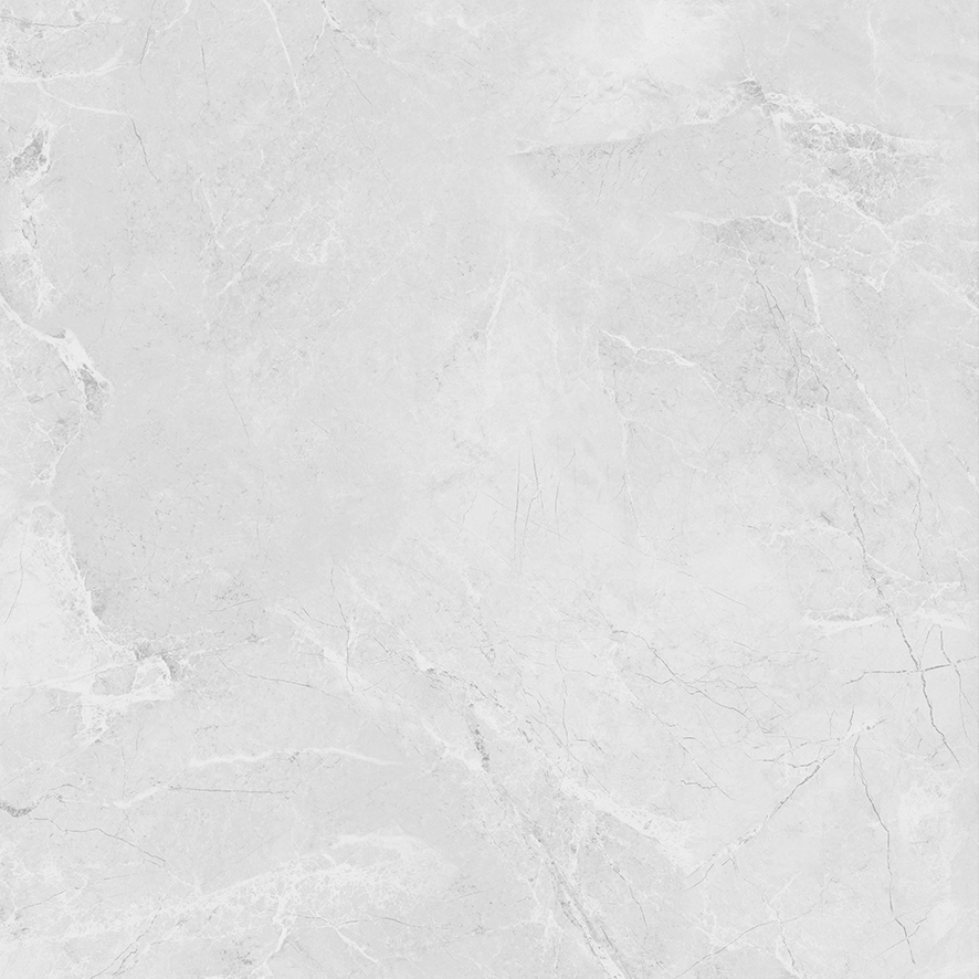 LP6060G0241R На пол Berna Silver светло-серый матовый 59.5х59.5 - фото 8