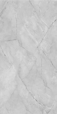 F918G10131 На пол Керамогранит 90x180 Fish Maw Grey Glossy 90x180