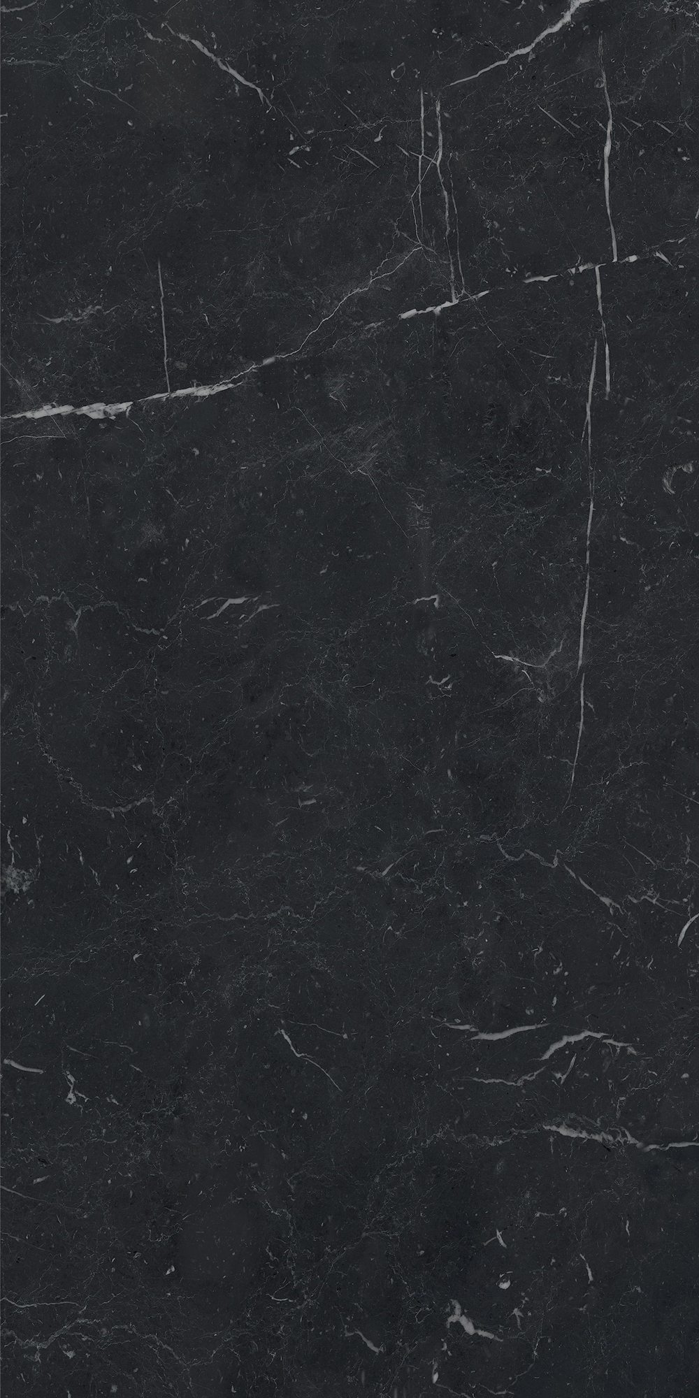 AGB7 На пол Anima Futura Unique Black Luc 60x120 - фото 7