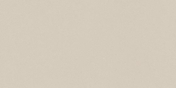 48BQ На пол Duo R Pearl R10 29.3x59.3