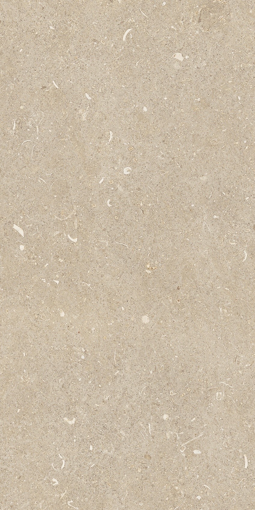 785501 На пол Rinascenza Arena Conchiglia Grip 30x60 - фото 2