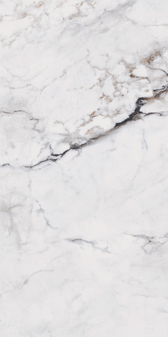 MOG103/PS_NC/60x120x9R/GW На пол Marble MOG103 White полированный 60x120 - фото 5