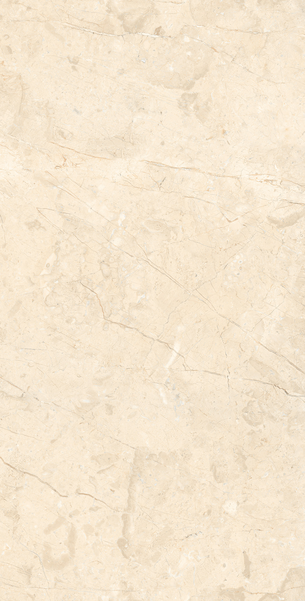 RT7016-A На пол Marcus Cremano Matt Rustic 60x120 - фото 4