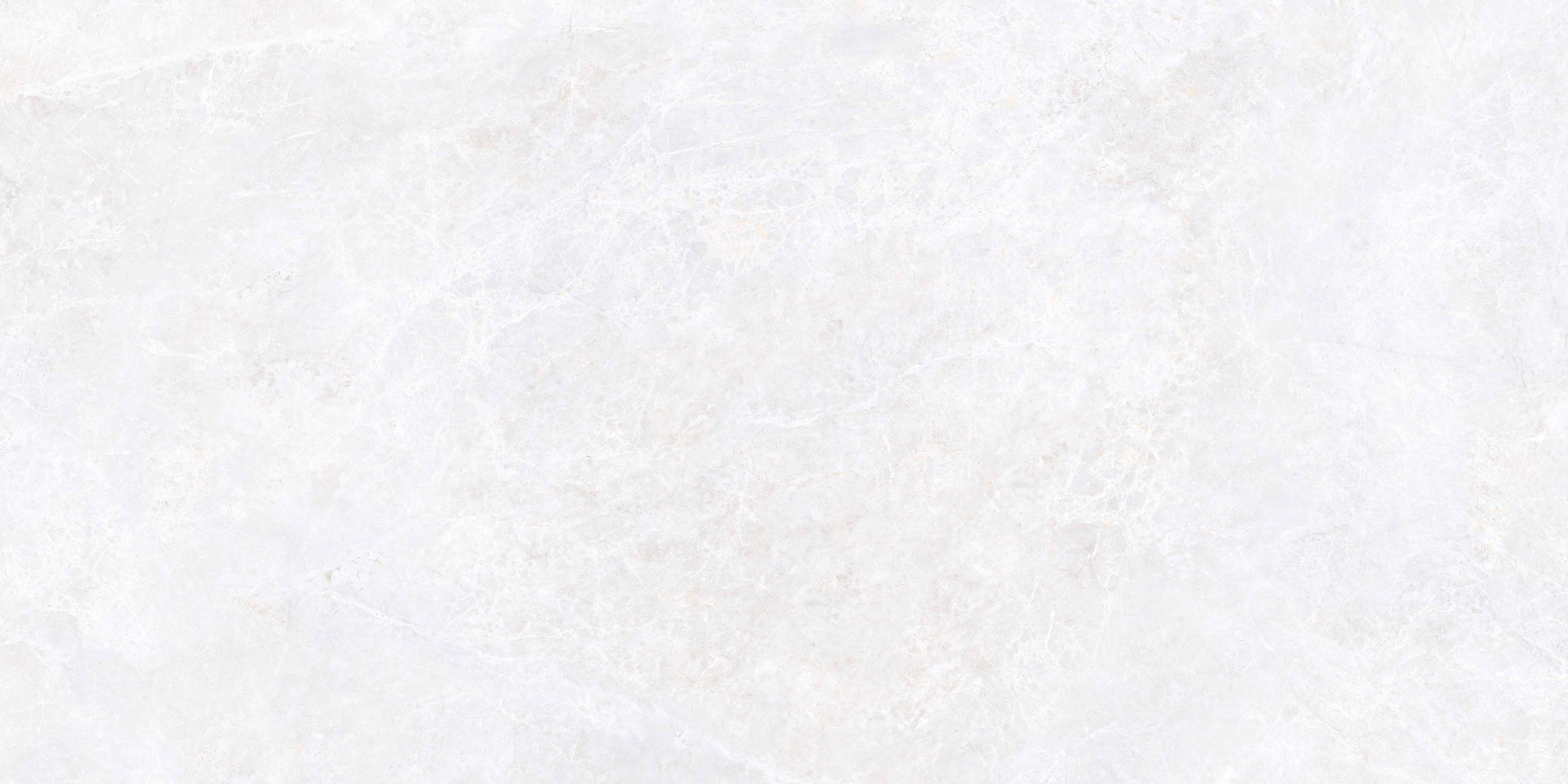 K958004R0001VTER На пол Emperador Белый Матовый R10A Ректификат 60x120 - фото 2