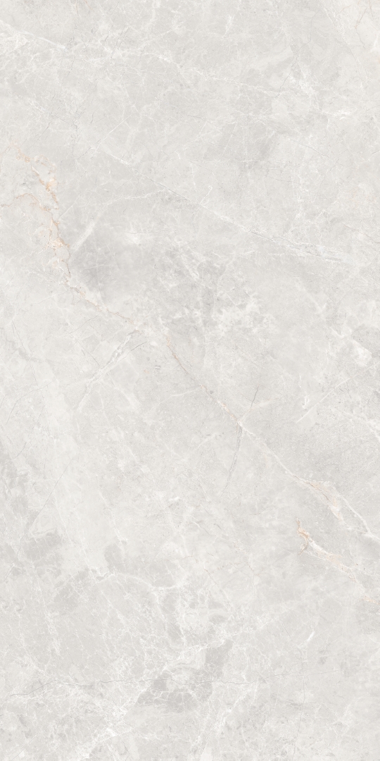 GT1206019606MDGR На пол Anatolia Светло-серый матовый 60x120 - фото 5