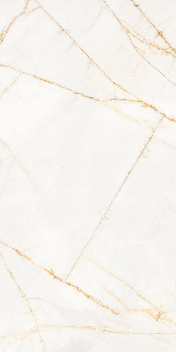 PF60017518 На пол Supreme Hedonism Golden Spider Nat R 60x120 - фото 10