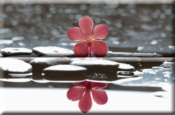 Панно Aure Wellness red Composicion Wellness 01 Red 30x45 (комплект 2шт)