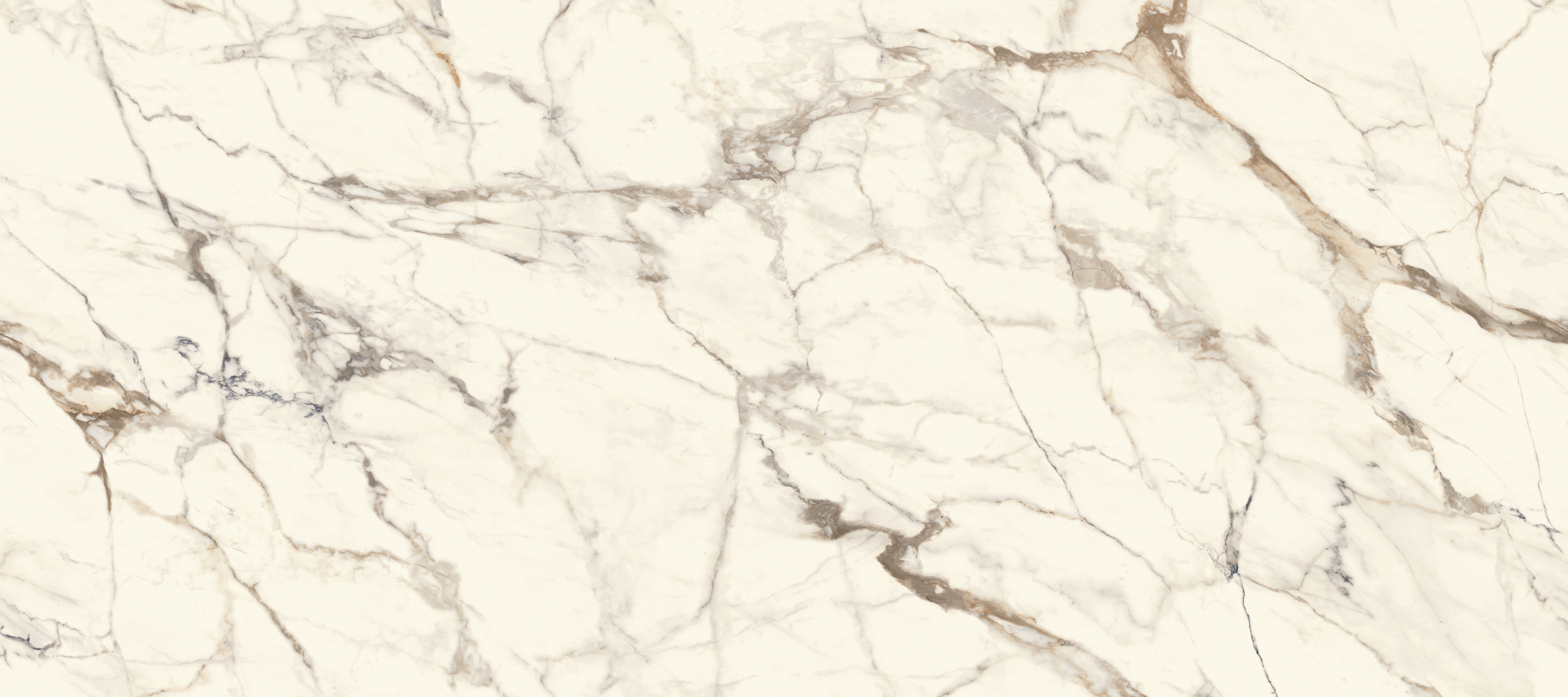 100332619 На стену Calacata Gold Polished 120x270