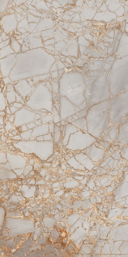 PR212 На пол Golden Grey High glossy 600x1200 - фото 3