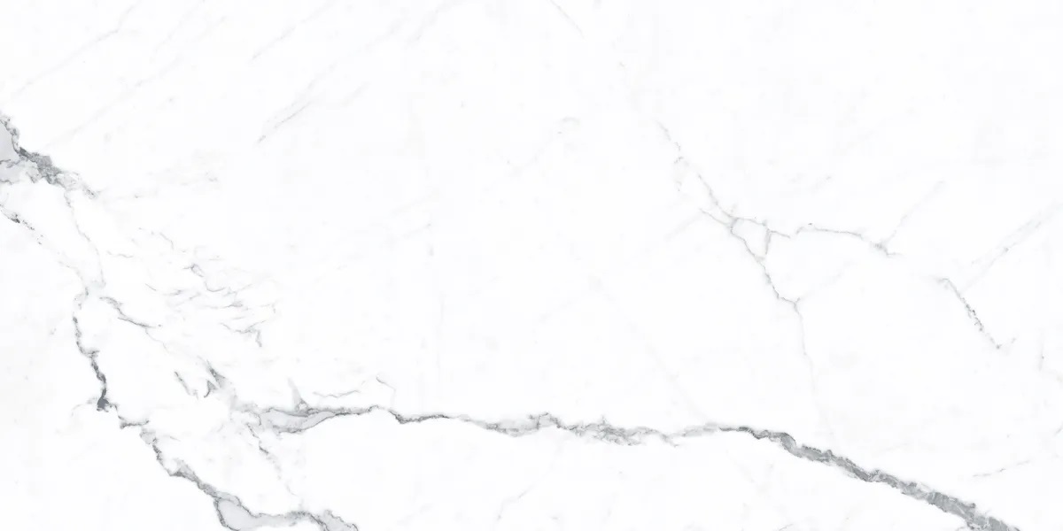 P0003810 На пол Idyllic Statuario White Starlight 120x60