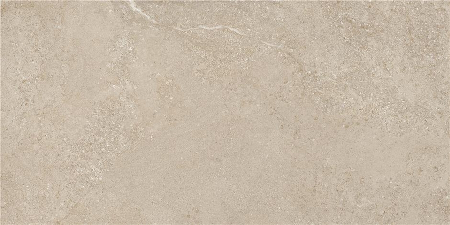 CAN5AREIQDOA На пол Arenite Natural Matt 60x120