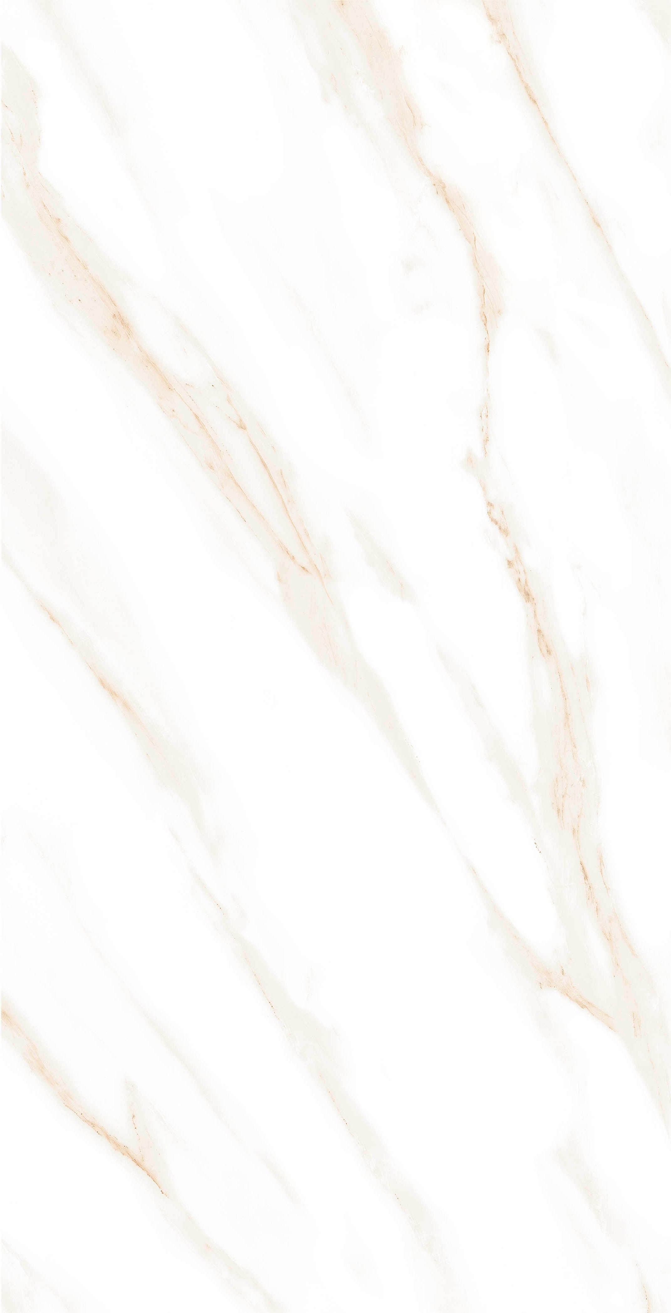 MOG102/PS_NC/60x120x9R/GW На пол Marble MOG102 White 120x60 Полированный Рект. - фото 8