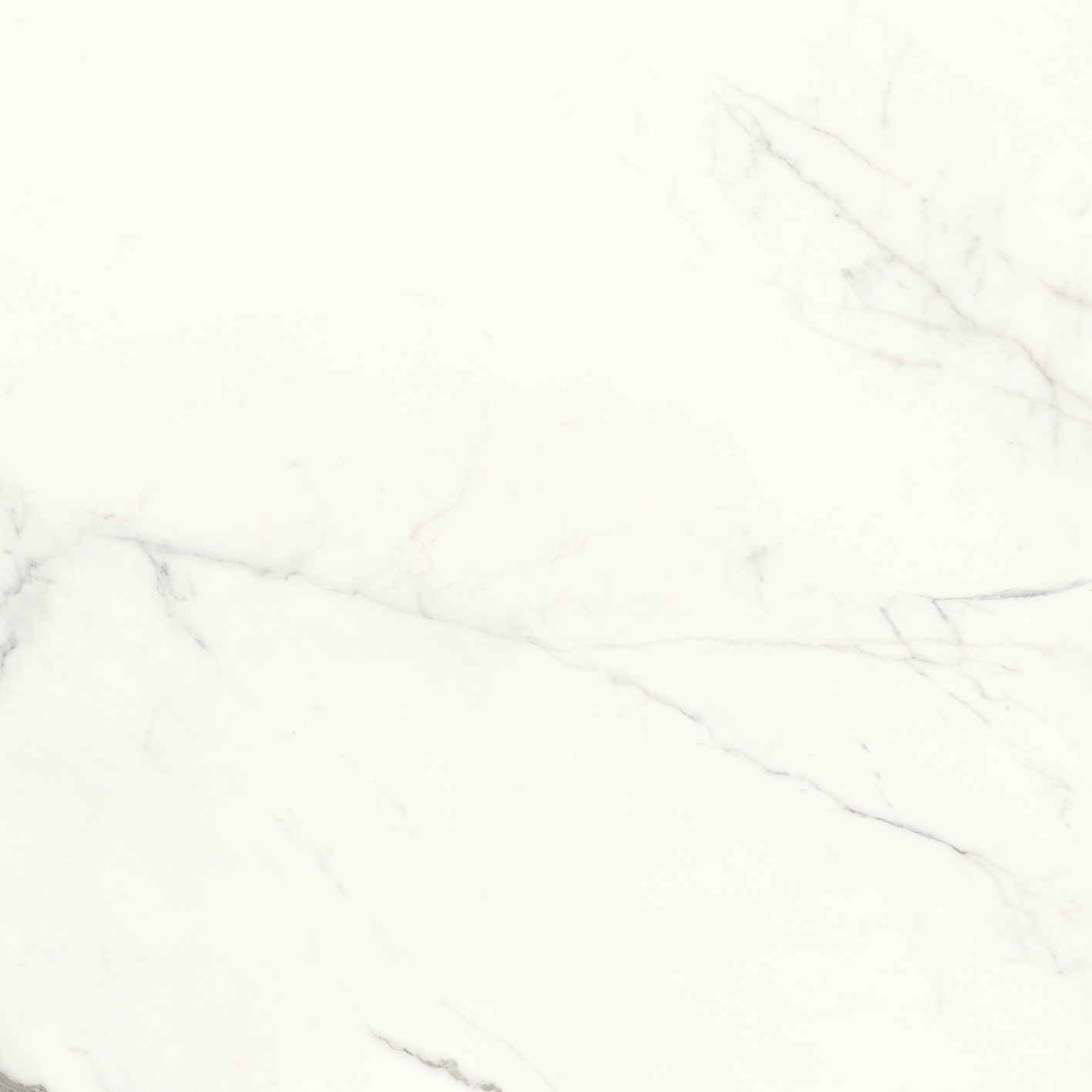 100331073 На пол Aria White Polished 120x120 - фото 8