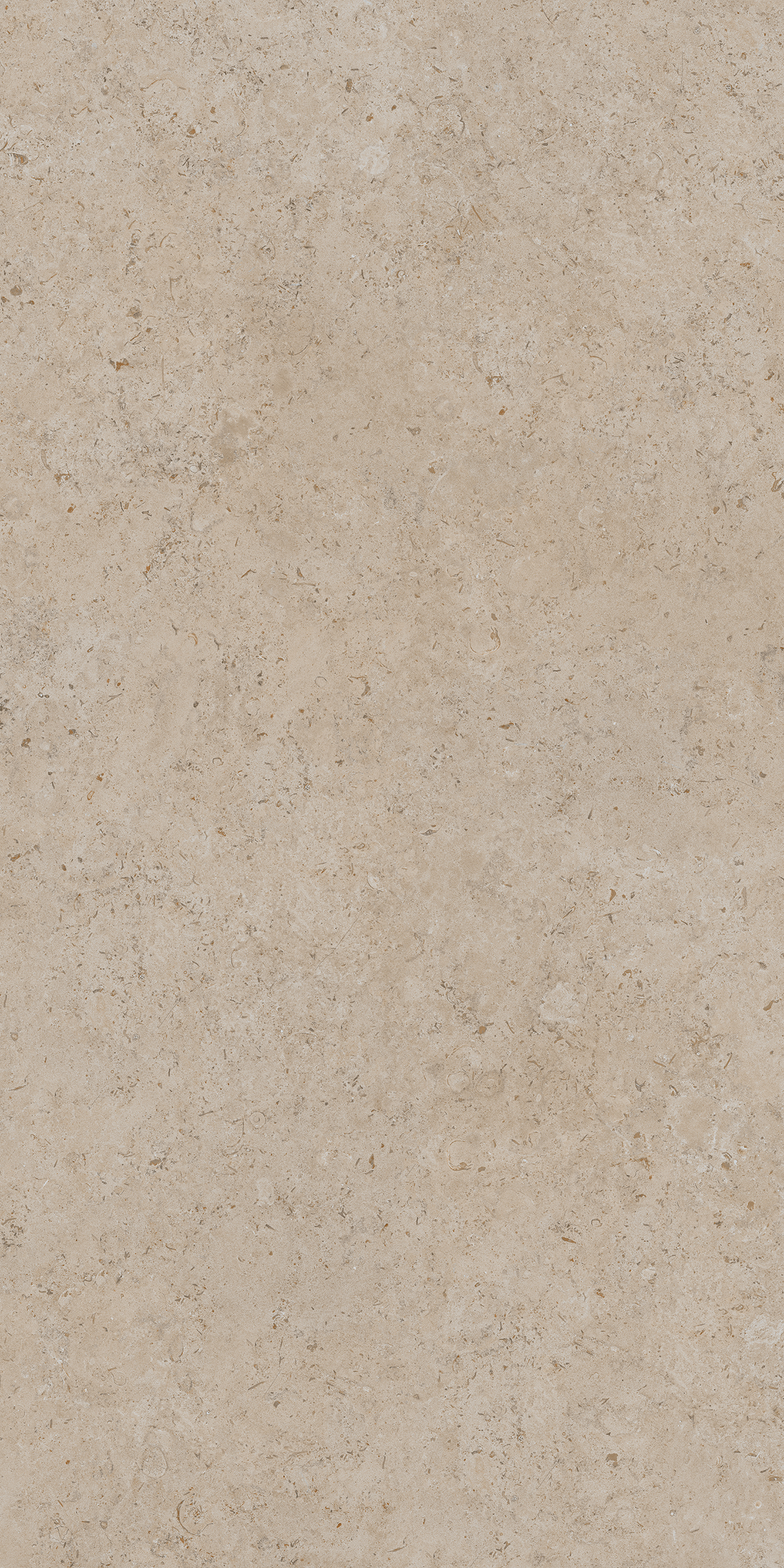 DD590500R На пол Про Лаймстоун Ат Бежевый Темный Натуральный Обрезной 119.5х238.5 - фото 5