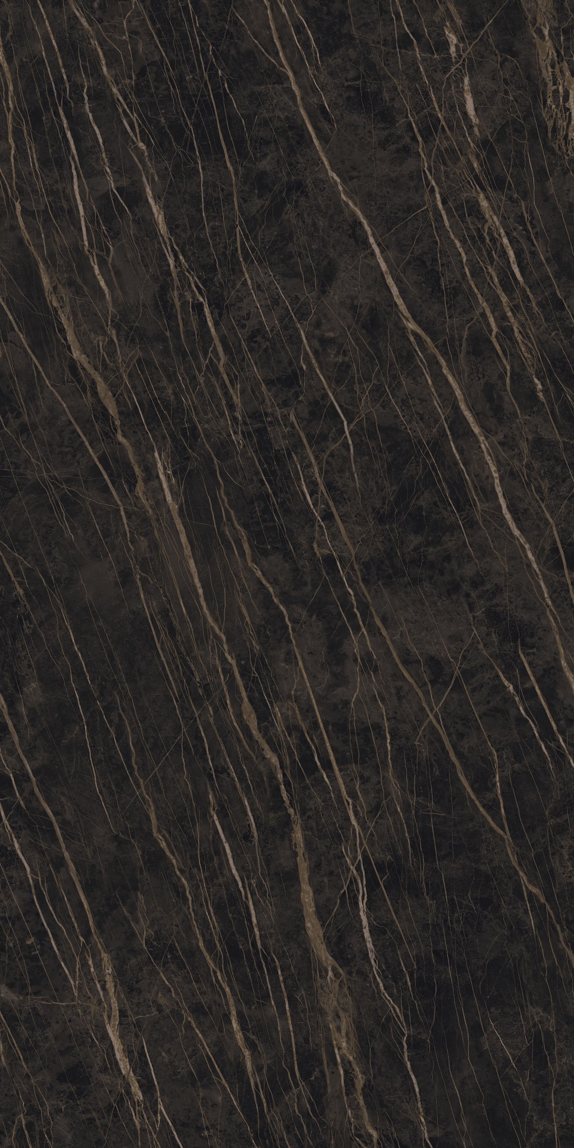 LAMF007580_IT На пол I Naturali Marmi Noir Desir Nat 5+ 1620x3240