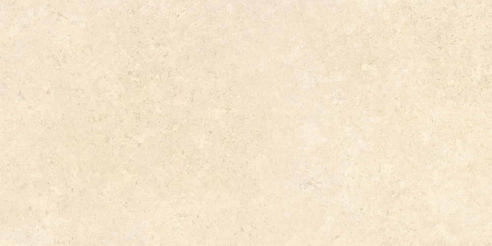 K948598R На пол SandStone Песочный Матовый R10A Ректификат 9мм 60х120 - фото 3