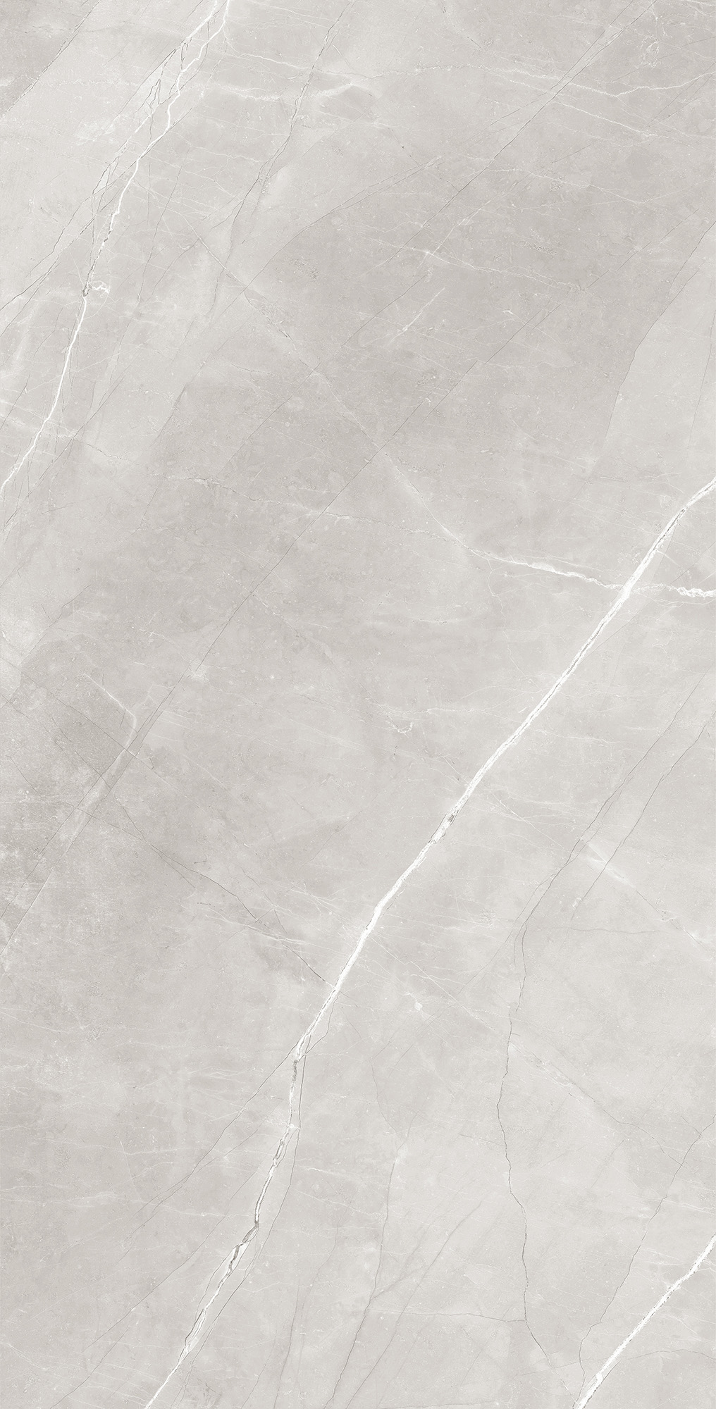 RT7013-A На пол Armani Silver Matt Rustic 60x120 - фото 2