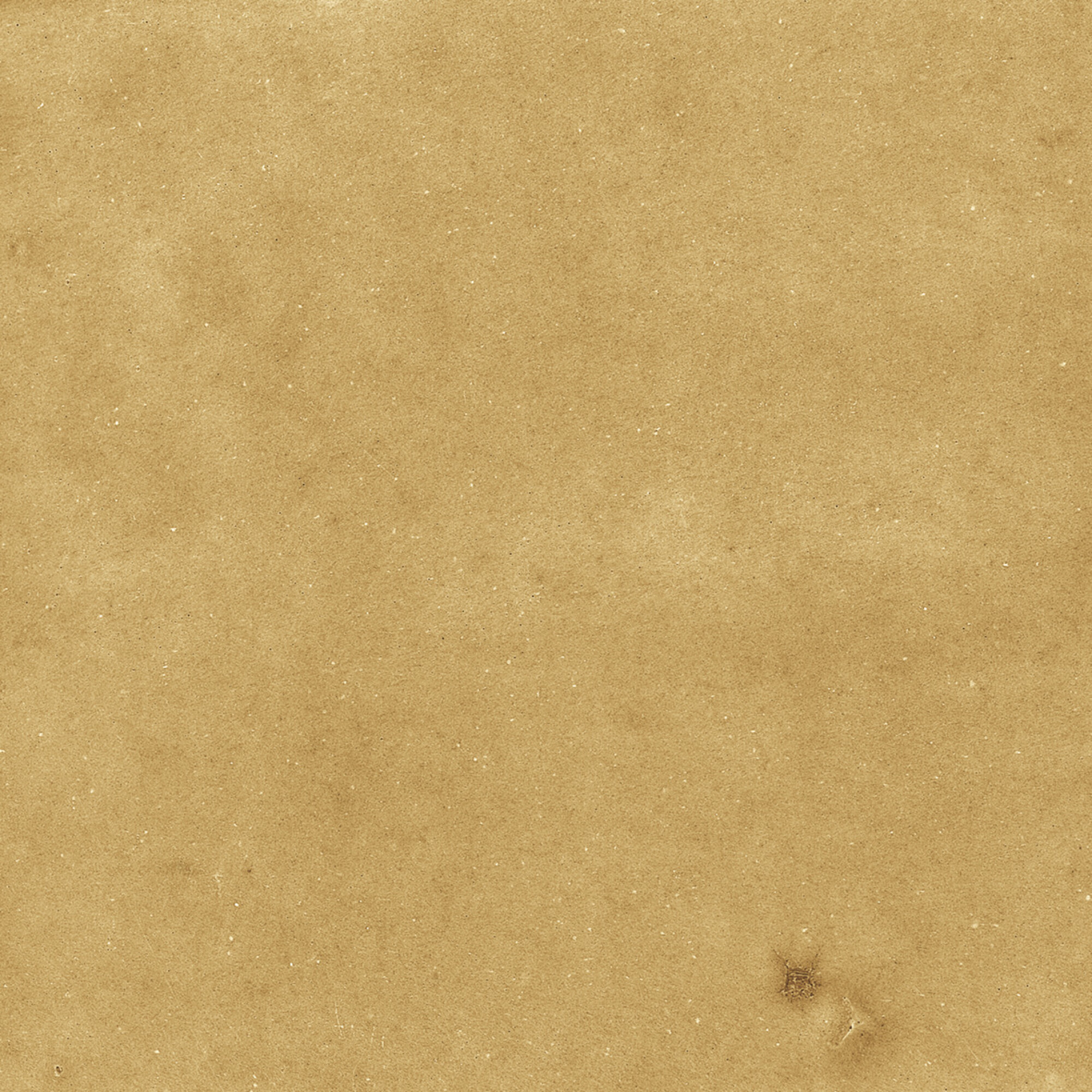 43288 На стену Samira Gold 10x10 - фото 17