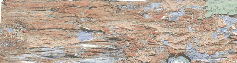 На пол Decape Dark 7.5x28