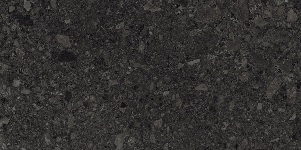 RP-238601  Ceppo Di Nero GHR 60x120 - фото 2