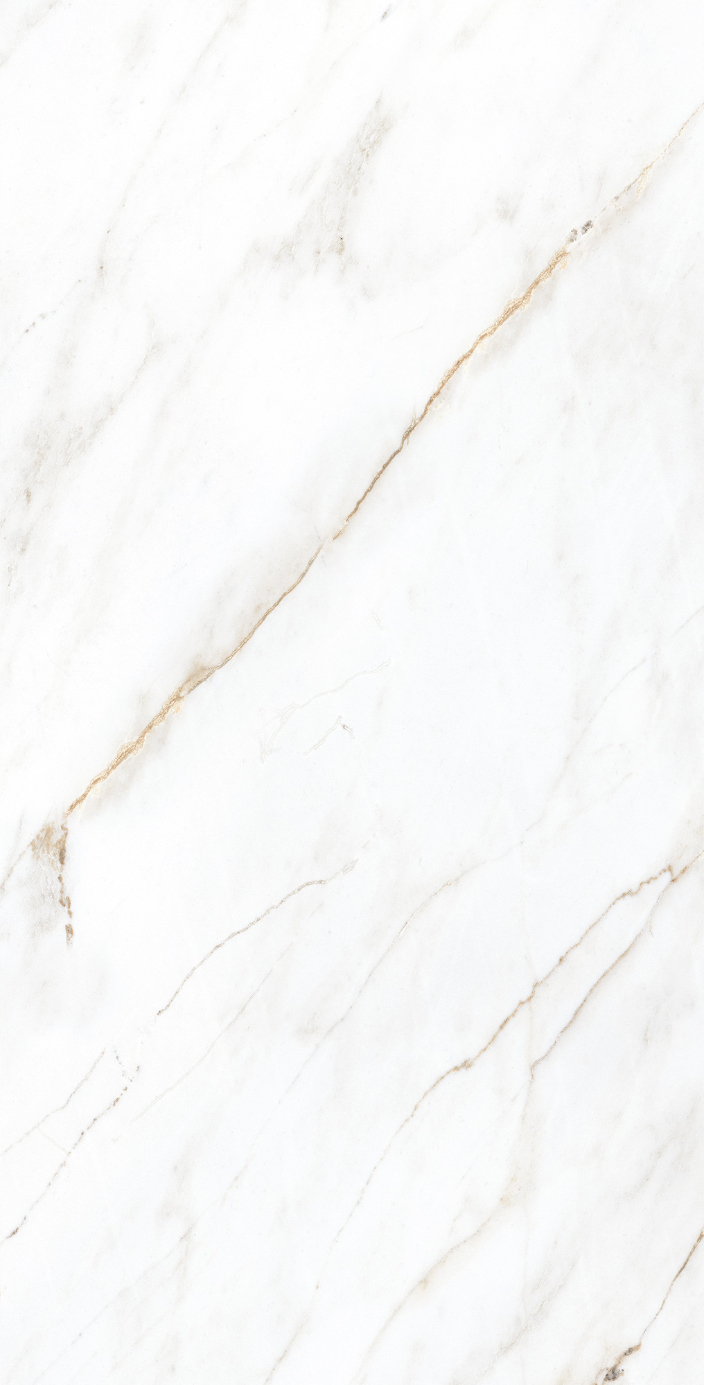 CP4004-A На пол Selva Gold Carving Pro 60x120 - фото 3