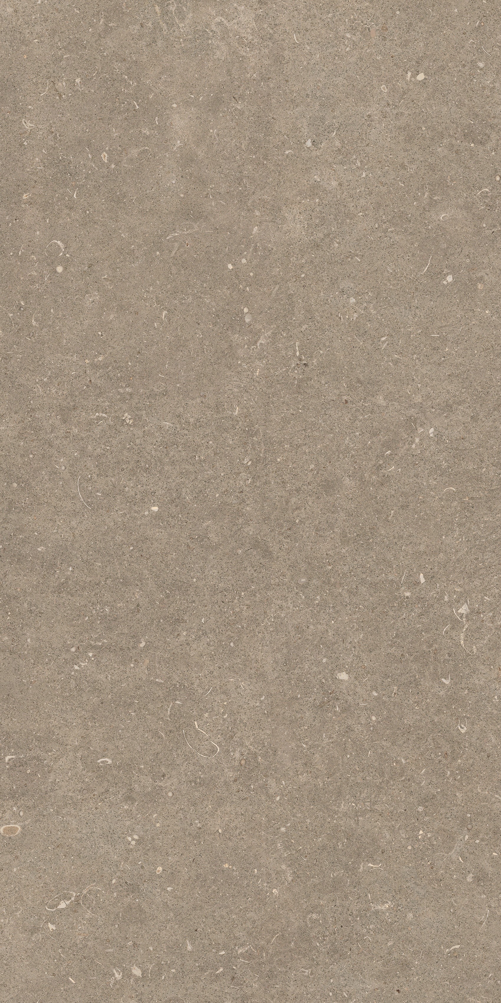 785494 На пол Rinascenza Arena Pietra Grip 60x120 - фото 3