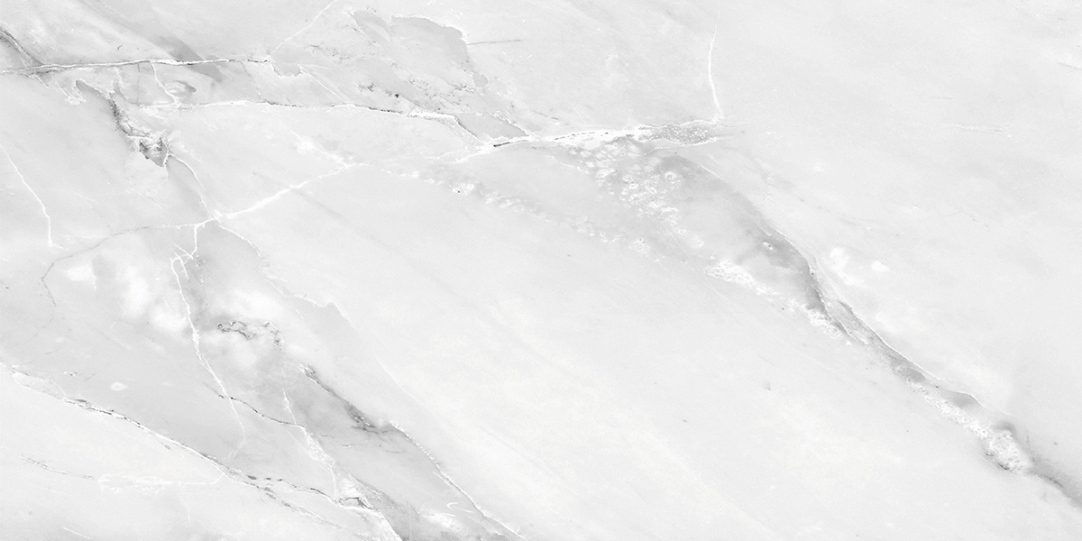 PRO 1187G На пол Aquarelle Grey Gloss 1200x600 - фото 4