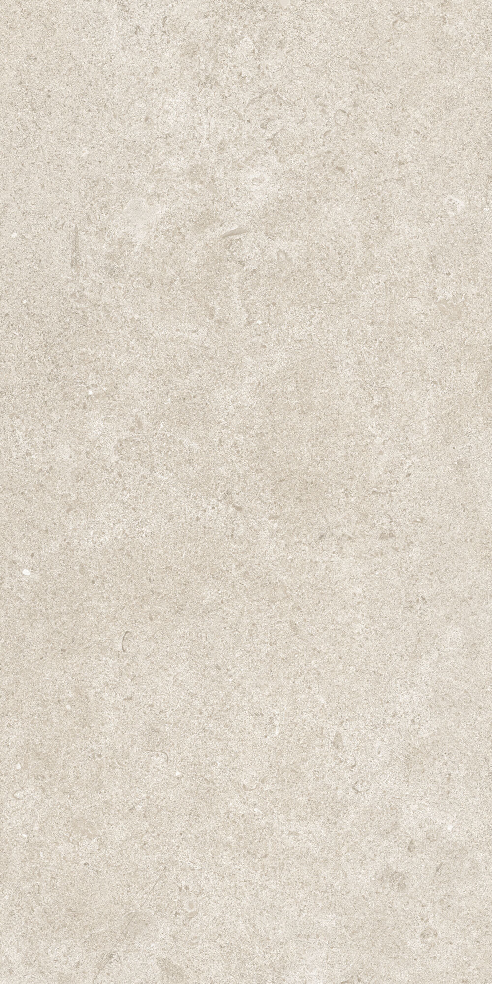 36902 На пол Cluny Beige 4D/50X100X2/A/R 50x100 - фото 2