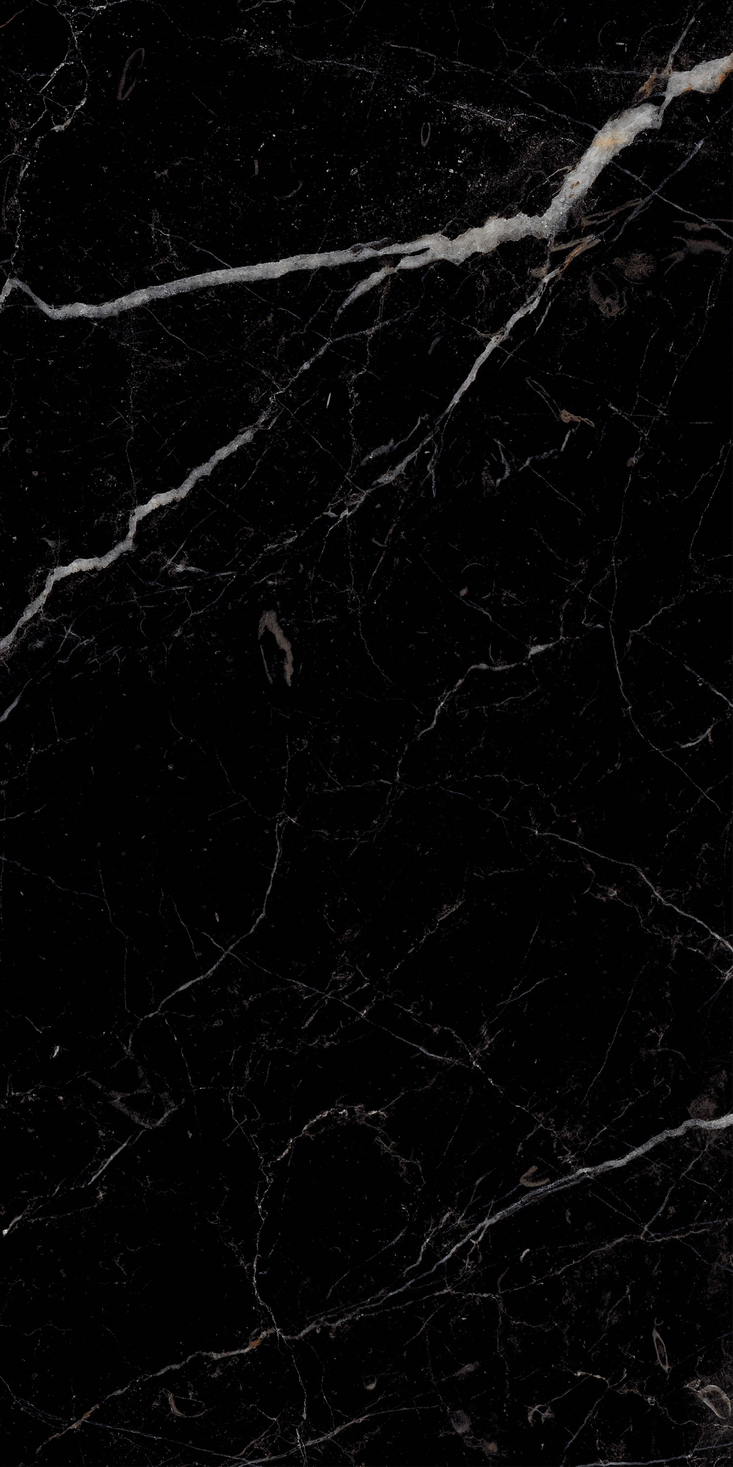 51790 На пол Royal Black Hight glossy 60x120 - фото 3