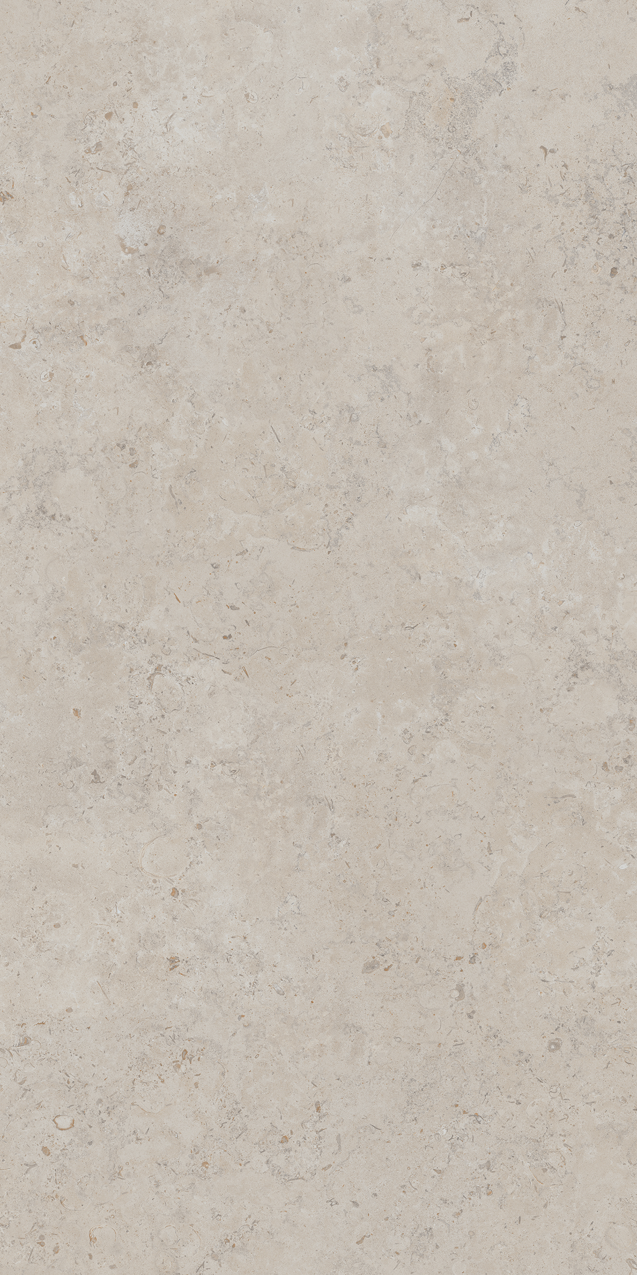 DD590400R На пол Про Лаймстоун Ат Бежевый Натуральный Обрезной 119.5х238.5 - фото 3