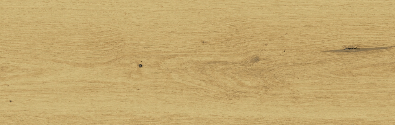 C-SW4M012D На пол Sandwood Бежевый 18.5x59.8 - фото 2