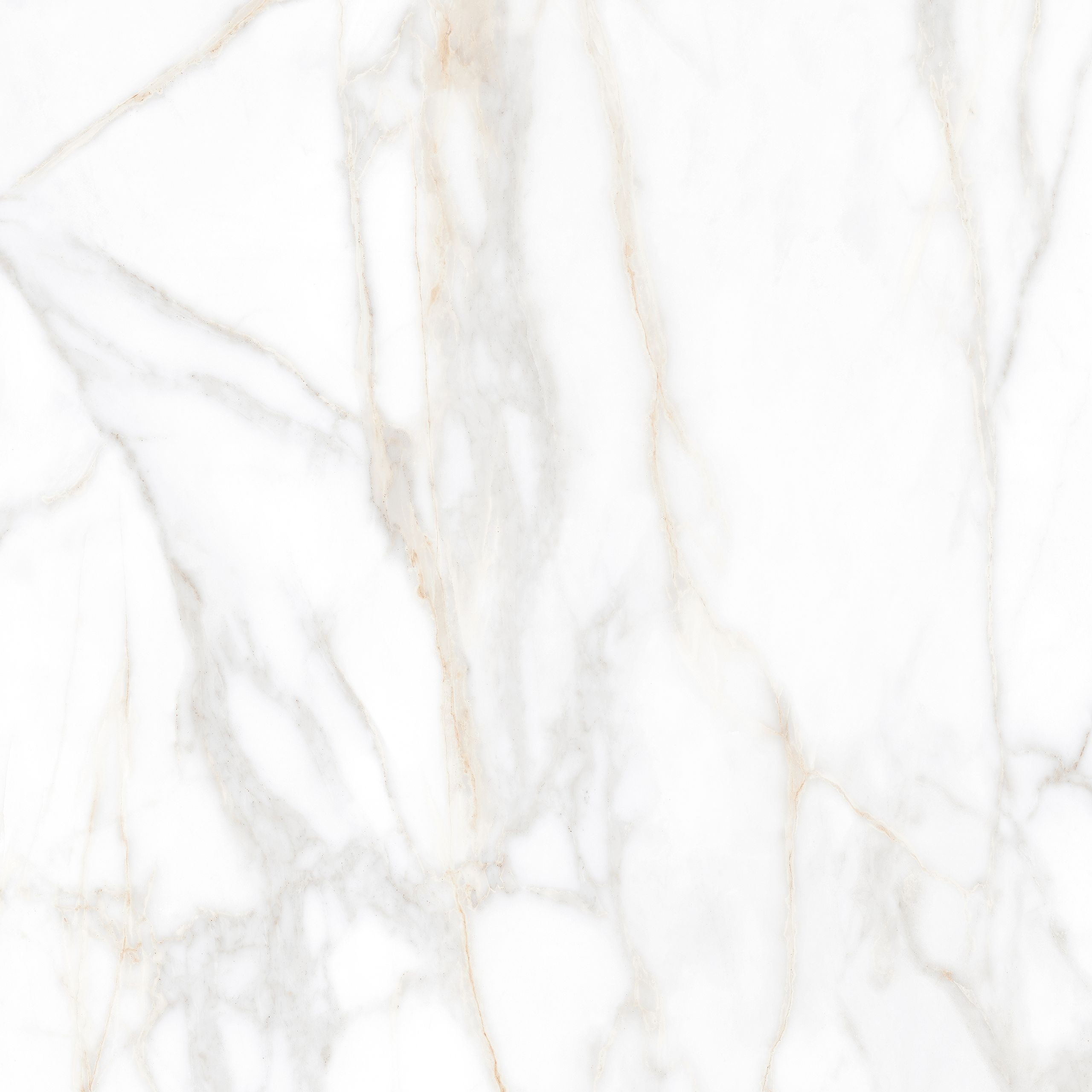 SM02/PS_NC/60x60x10R/GW На пол Supreme SM02 Gold 60x60  Полированный - фото 2