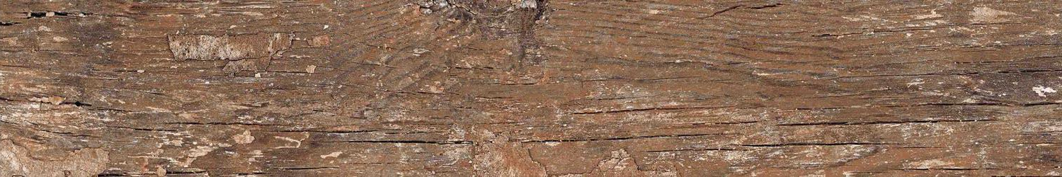 На пол Wood Kiwi Redroot Mat 20x120 - фото 19