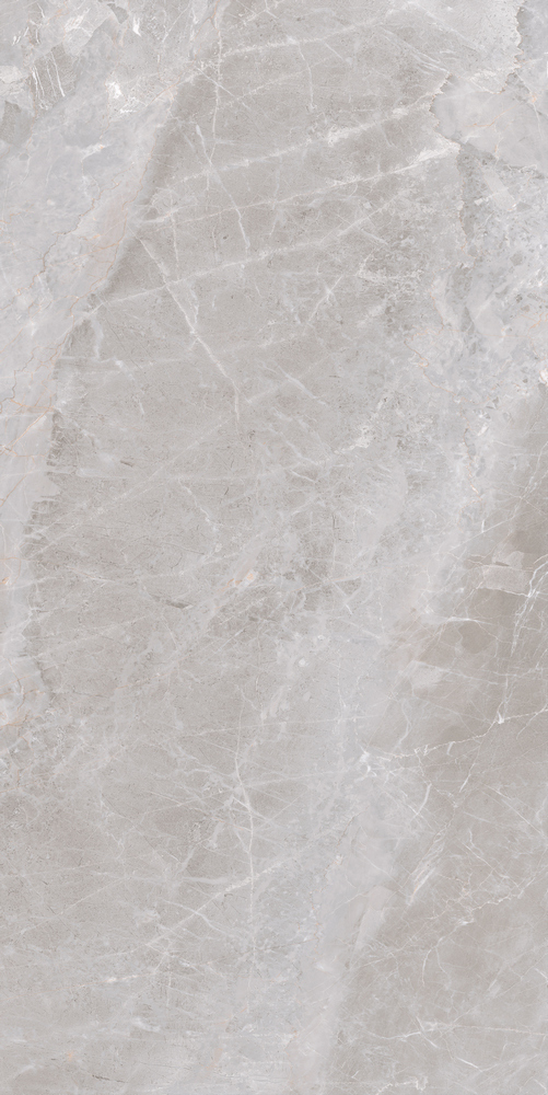 GT120607215PR На пол Accord Серый Slim PR  60x120 - фото 2